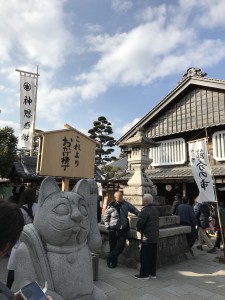 img_6565.jpg