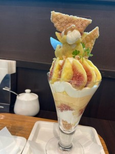 o1080144015333816240